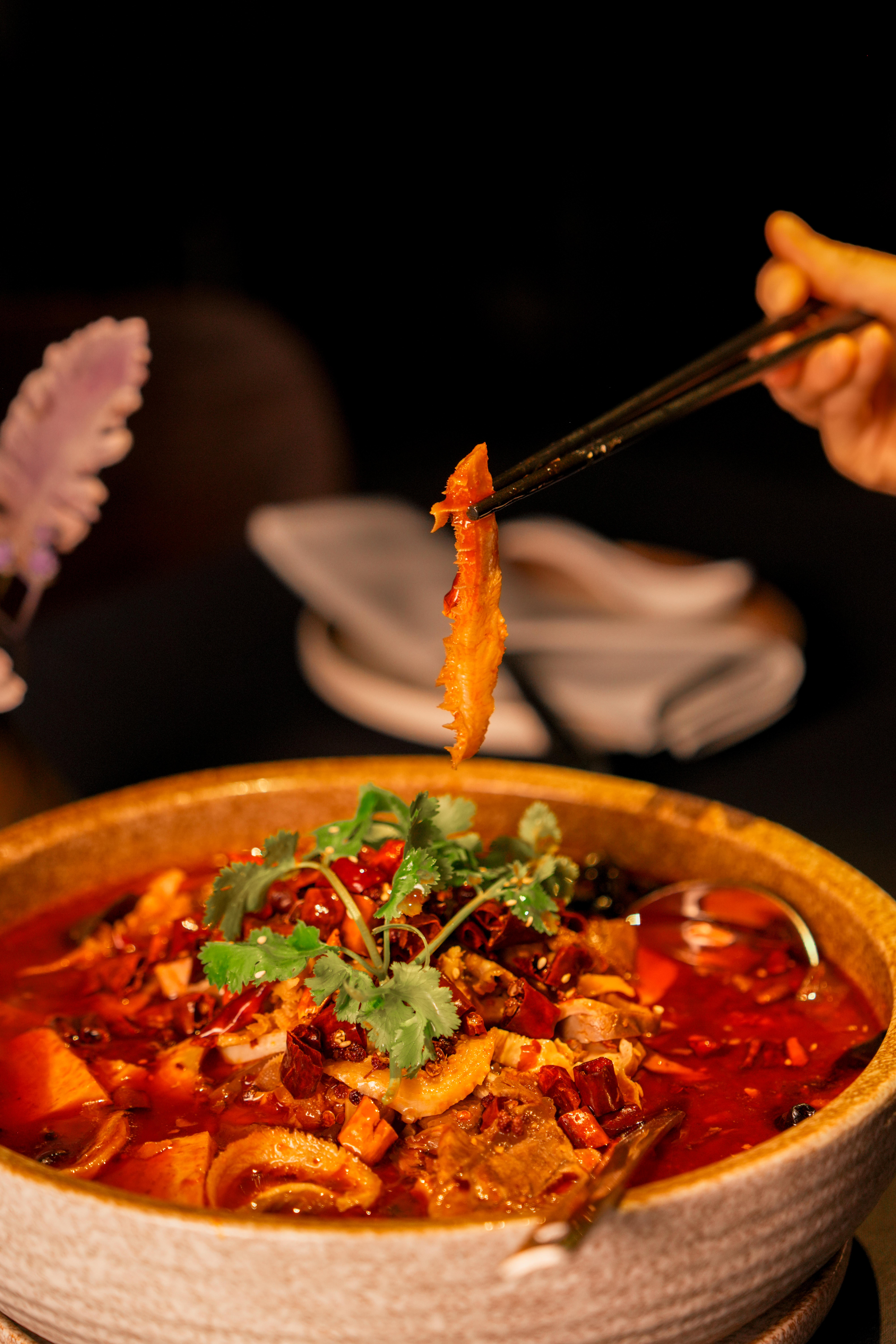 费城唐人街江南这波优惠我真的没见过!$19.5午晚市套餐+硬菜3送1!完蛋,我要常驻了