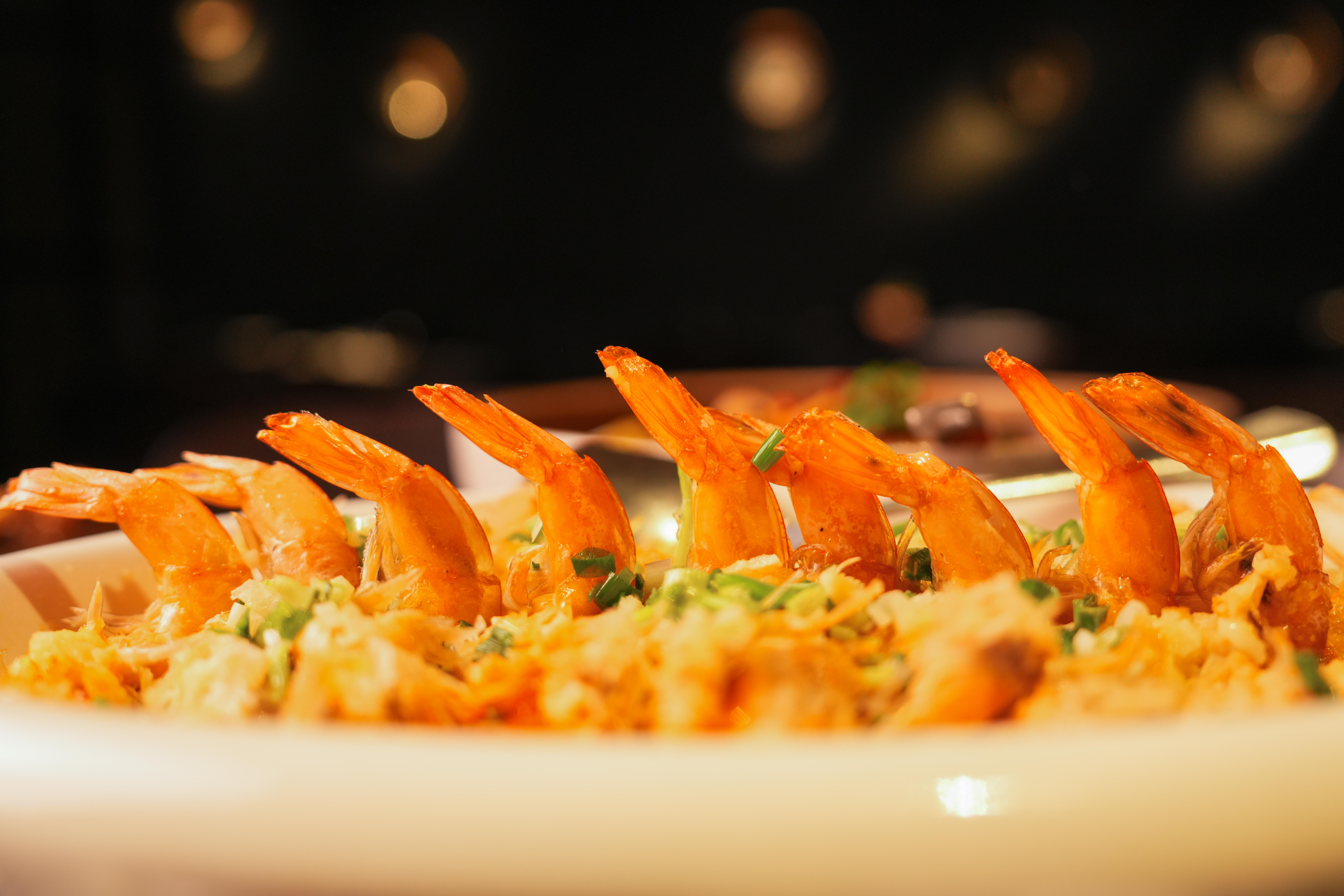 费城唐人街江南这波优惠我真的没见过!$19.5午晚市套餐+硬菜3送1!完蛋,我要常驻了