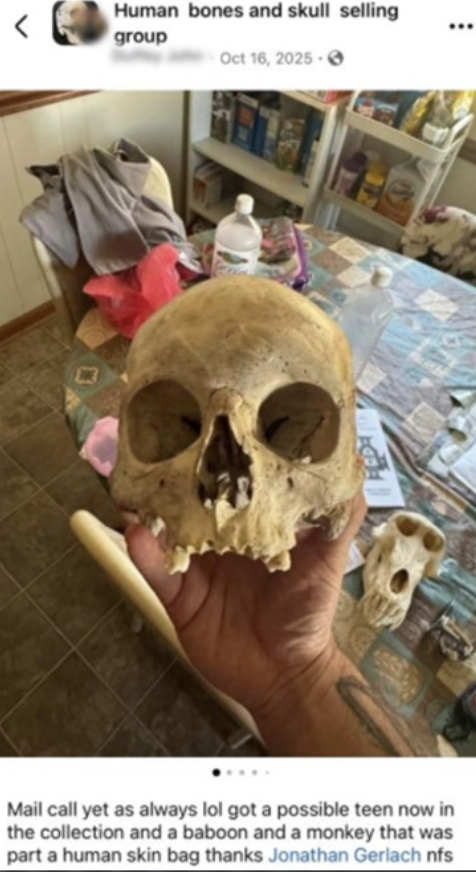 费城惊悚奇案:男子盗挖百年墓园!家中藏有100多具人类遗骸