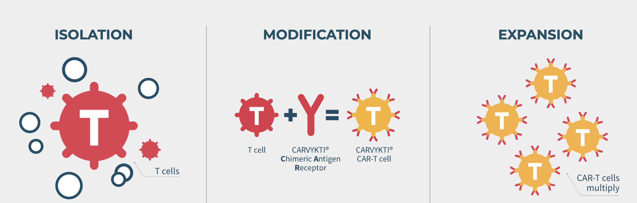 又一个百亿级项目落地宾州！强生豪掷10亿美元！费城郊区将诞生一座细胞治疗超级工厂