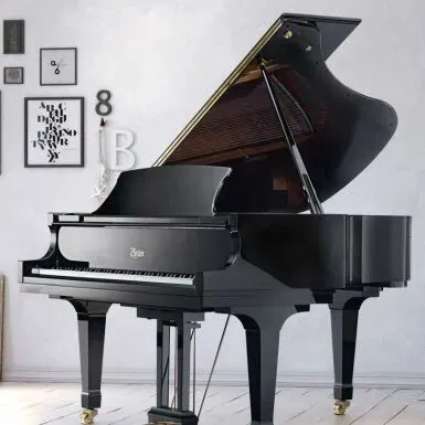 2026施坦威春节献礼，开年限量底价