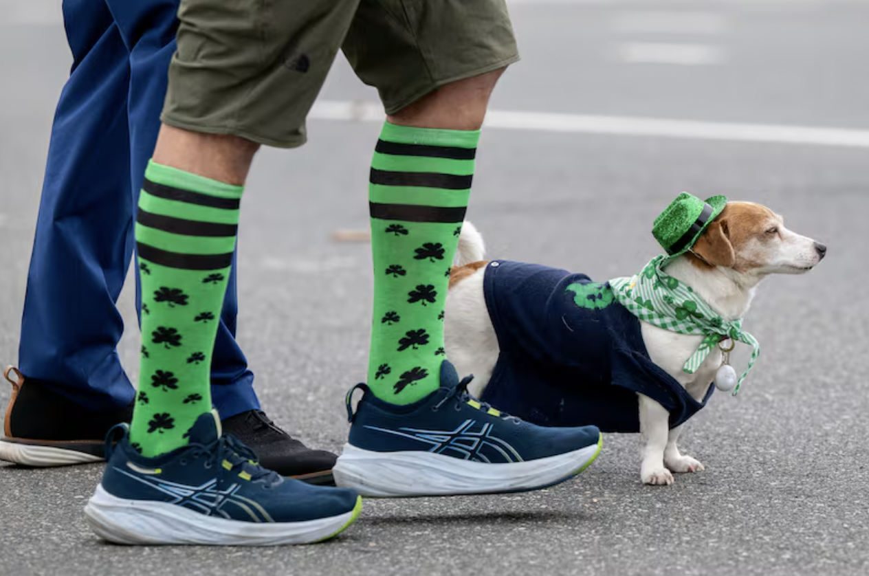 本周日费城要绿了！成千上万的人涌入市中心，250年历史大游行最全攻略