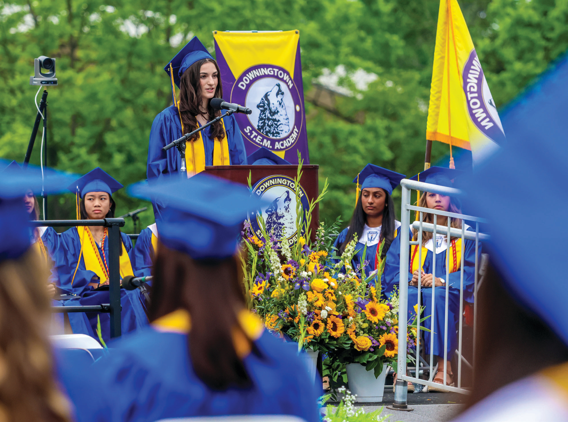 大费城教育资源深度解析：教育决定房价，不同预算购房策略（附推荐区域）