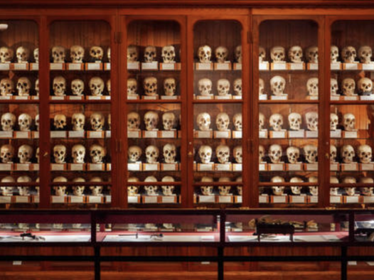 2023费城获得最高奖项和荣誉的文化与艺术