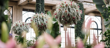 长木公园冬季仙境