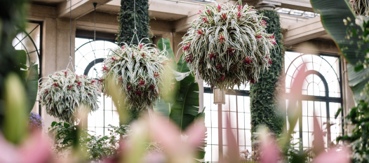 长木公园冬季仙境