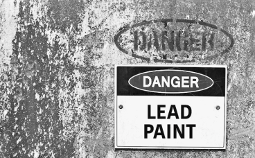 费城铅检查服务