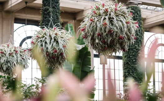 长木公园冬季仙境