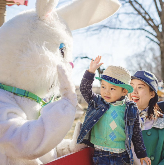 Main Line复活节兔兔活动