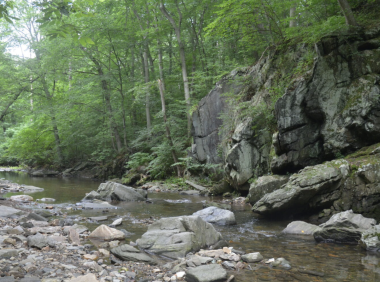费城西郊最受欢迎的10条徒步旅行线路