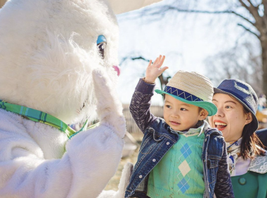 Main Line复活节兔兔活动