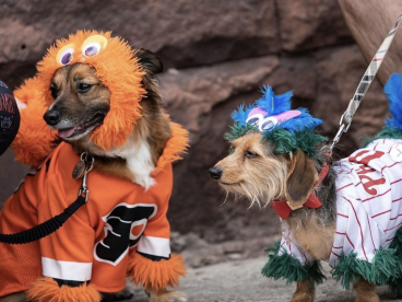 费城4月14日毛孩子宠物节