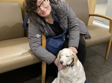 宾大宠物医院：费城狗狗误食大麻比例上升，误食大麻的狗会有哪些症状