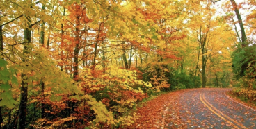 史上最全！宾夕法尼亚州十月最美25个赏枫地推荐！