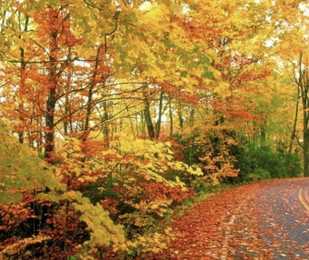 史上最全!宾夕法尼亚州十月最美25个赏枫地推荐!