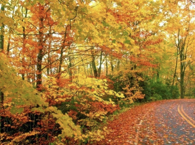 史上最全!宾夕法尼亚州十月最美25个赏枫地推荐!