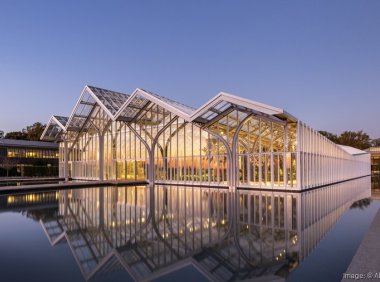 长木公园耗资2.5亿美元的壮观扩建项目下个月正式亮相