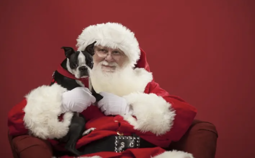 圣诞老人已抵达大费城!快来看看各大商场的到访时间安排!