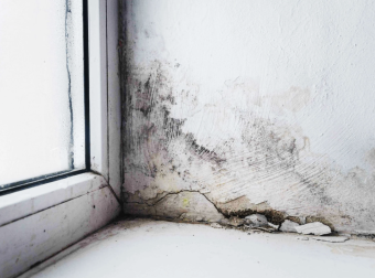 宾州买房攻略|看房时如何鉴别地下室漏过水?