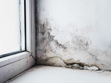 宾州买房攻略｜看房时如何鉴别地下室漏过水？