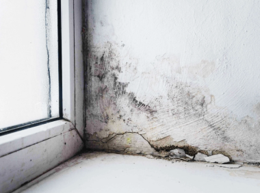 宾州买房攻略|看房时如何鉴别地下室漏过水?