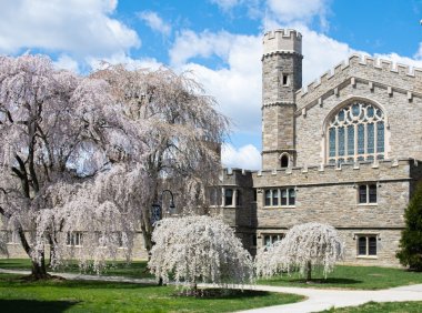 Bryn Mawr College荣登全美最美校园榜单，宛如童话古堡