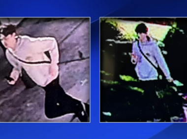 大费城48小时内6起惨剧!母亲自家车道撞死亲儿,孩童追球被撞身亡,SEPTA公交撞行人,LM树倒压车致命事故……