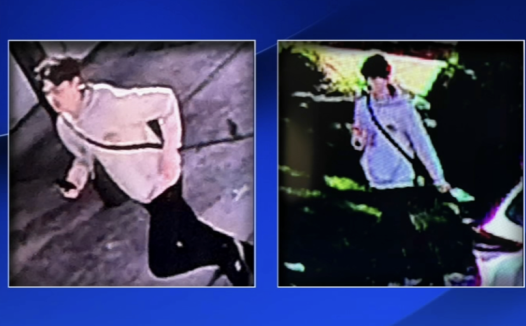 大费城48小时内6起惨剧!母亲自家车道撞死亲儿,孩童追球被撞身亡,SEPTA公交撞行人,LM树倒压车致命事故……