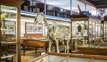 全费城免费开放！40+家博物馆免费看，独立日这样玩太值了！