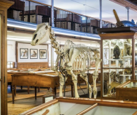 全费城免费开放!40+家博物馆免费看,独立日这样玩太值了!