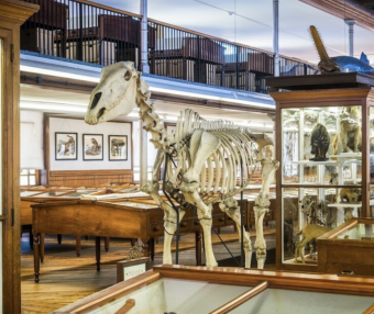 全费城免费开放!40+家博物馆免费看,独立日这样玩太值了!