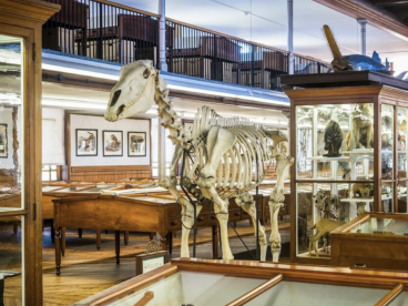 全费城免费开放！40+家博物馆免费看，独立日这样玩太值了！