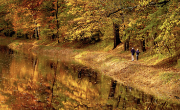 大费城超全赏枫清单！从城市步道到郊区秘境，36个地方美到像油画！