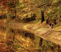 大费城超全赏枫清单!从城市步道到郊区秘境,36个地方美到像油画!