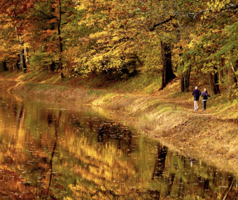 大费城超全赏枫清单!从城市步道到郊区秘境,36个地方美到像油画!