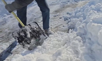 费城暴雪过后！别硬扛！每年100人因铲雪猝死，45岁以上尤其危险！铲雪前你必须知道的安全事项！
